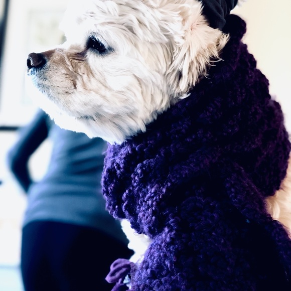 Hey guys it’s me Tessa! 😜 - Picture 2 of 5